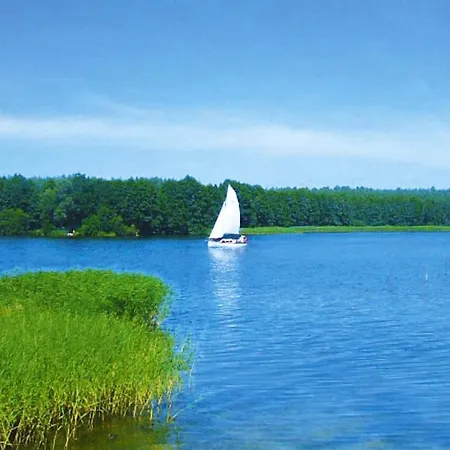 Close To The Shore, Dabrowica *
